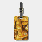 Maisernte, Pile von geerntetem Mais auf Brüsten Gepäckanhänger (Vorderseite vertikal)