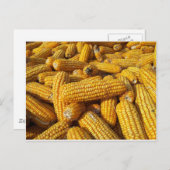 Maisernte Postkarte (Vorne/Hinten)
