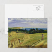 Maisfeld auf der Isle of Wight Postkarte (Vorne/Hinten)
