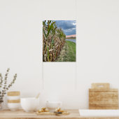 Maisfeld-Foto-Plakat Poster (Küche)