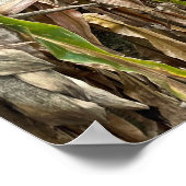 Maisfeld-Foto-Plakat Poster (Ecke)