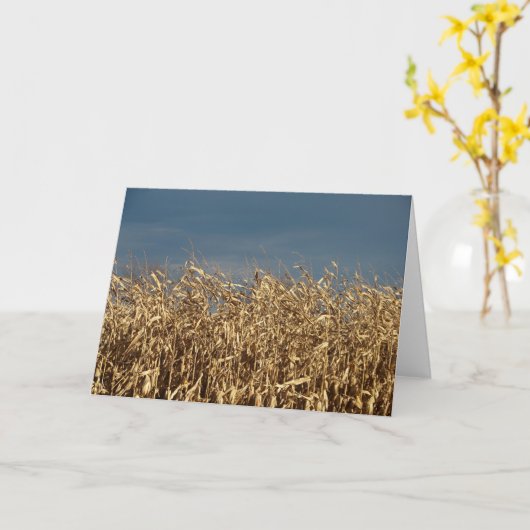 Maisfeld Karte (Gelbe Blume)