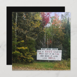 Maisgrün behalten einladung