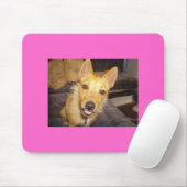 "Maisie" der Jack Russell Mousepad (Mit Mouse)