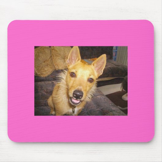 "Maisie" der Jack Russell Mousepad (Vorne)