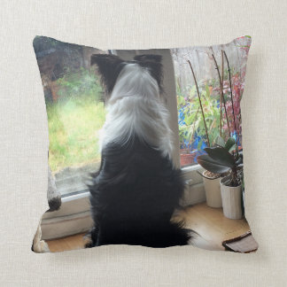 Maisie Rain Watching Cushion Kissen