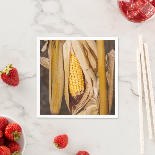 Maiskobb auf Stalk Serviette (Beispiel)