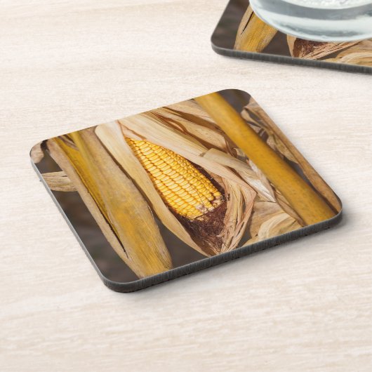 Maiskobb auf Stalk Untersetzer (Linke Seite)