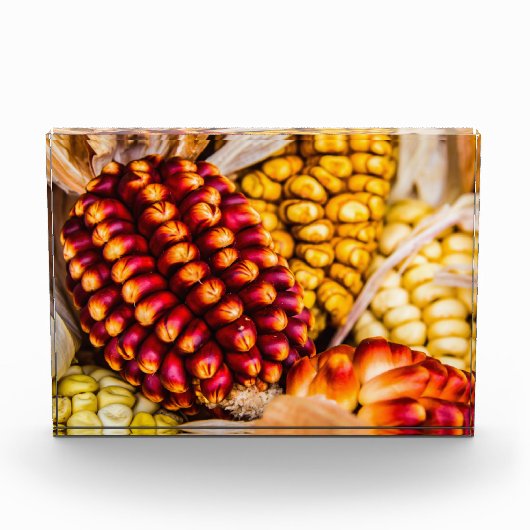 Maiskolben Fotoblock (Vorderseite)