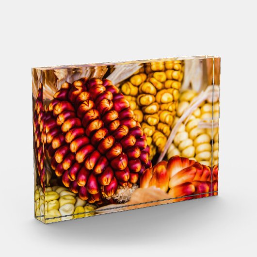 Maiskolben Fotoblock (Links)