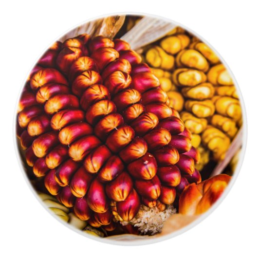 Maiskolben Keramikknauf (Vorderseite)