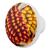 Maiskolben Keramikknauf (Rechts)