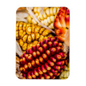 Maiskolben Magnet (Vertikal)