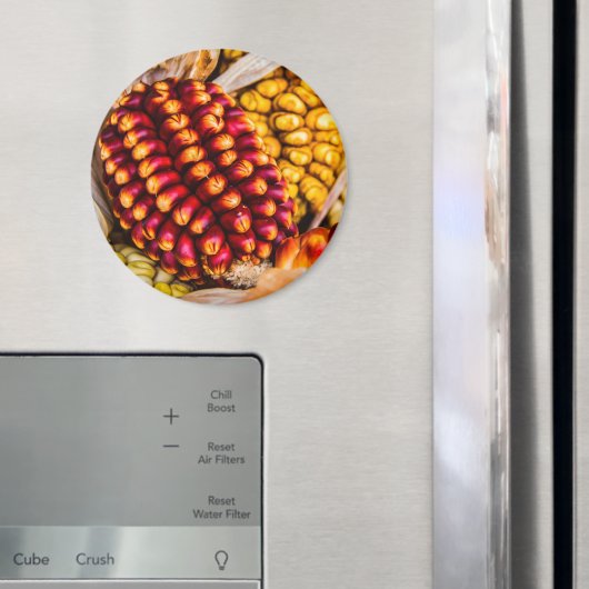 Maiskolben Magnet (In Situ (Kühlschrank))