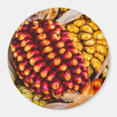 Maiskolben Magnet (Vorne)