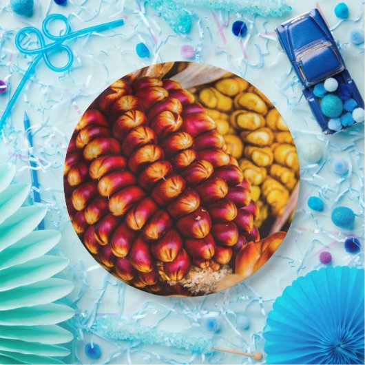 Maiskolben Pappteller (Party)