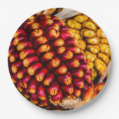 Maiskolben Pappteller (Vorderseite)