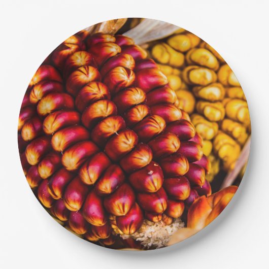 Maiskolben Pappteller (Vorderseite)