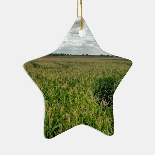 Maislabyrinth Keramikornament (Rechts)