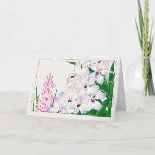 Maislilie, Vanda coerulea, Tanigami Konan Karte