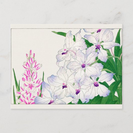 Maislilie, Vanda coerulea, Tanigami Konan Postkarte (Vorderseite)