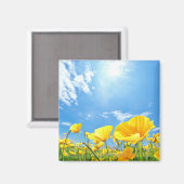 Maismohnfeld Magnet (Vorderseite/Rückseite)