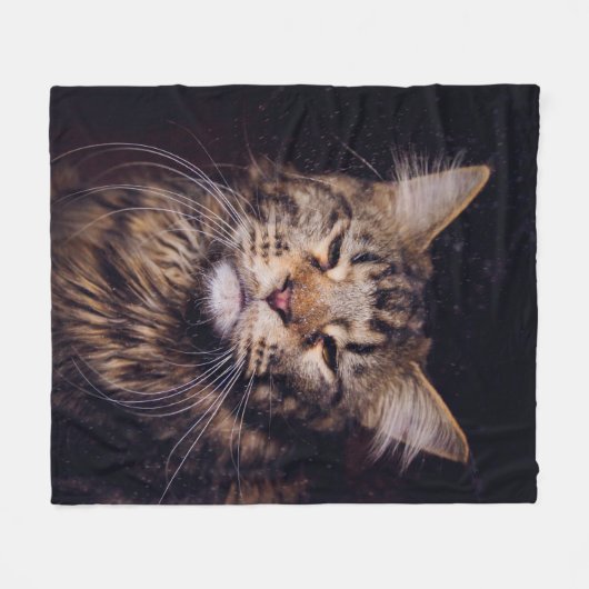 Maismünze auf schwarzem Hintergrund Jungtier,Katze Fleecedecke (Vorderseite (Horizontal))