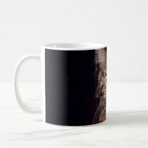 Maismünze auf schwarzem Hintergrund Jungtier,Katze Kaffeetasse
