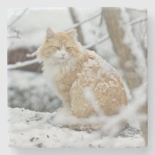 Maismünze im Untersetzer Snowsturm (Vorderseite)