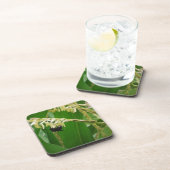 Maispollen ist heute für die Bienen lecker. Getränkeuntersetzer (Rechte Seite)