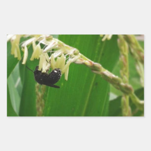 Maispollen ist heute für die Bienen lecker. Rechteckiger Aufkleber