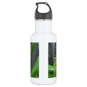 Maisstalk Trinkflasche (Rückseite)