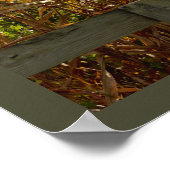 Maisstämme in Brand gesteckt Poster (Ecke)