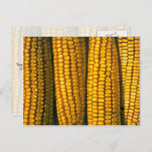 Maisstruktur Postkarte (Vorne/Hinten)