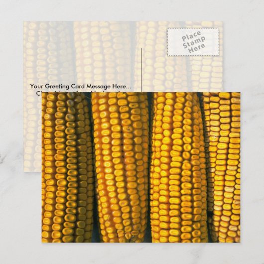 Maisstruktur Postkarte (Vorne/Hinten)