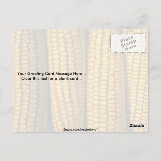 Maisstruktur Postkarte (Rückseite)