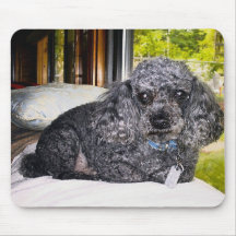 Maitai der Pudel, Mausunterlage