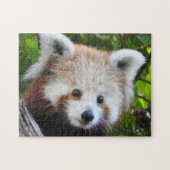 Maiya der rote Panda Puzzle (Horizontal)