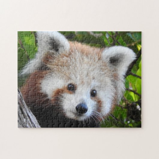 Maiya der rote Panda Puzzle (Horizontal)