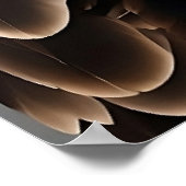 Majestät auf Hochtouren: Der Adler im Flug Poster (Ecke)