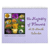 Majestät des Blumen-Kalenders Kalender (Titelbild)
