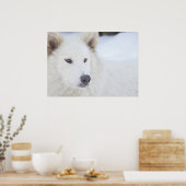 Majestät Poster (Küche)