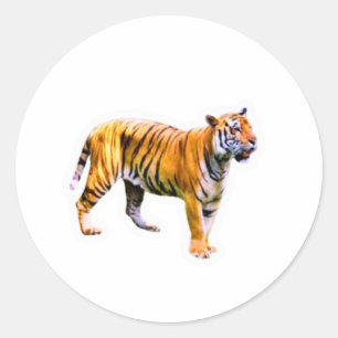 Majestätiger Sumatra-Tiger - Bedrohte Tierwelt Con Runder Aufkleber