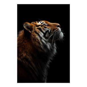 Majestätiges Tiger-Porträt, Stärke und königliches Poster