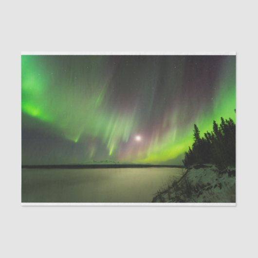 Majestätische Aurora Seidenpapier (Vorderseite)