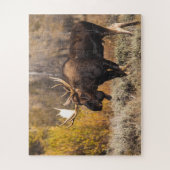 Majestätische Elche im wilden Foto Puzzle (Vertikal)