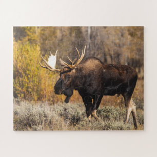 Majestätische Elche im wilden Foto Puzzle