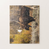 Majestätische Elche im wilden Foto Puzzle (Vertikal)