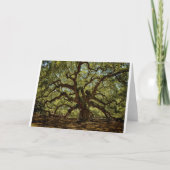 Majestätische Engels-Eiche Karte (Vorderseite)