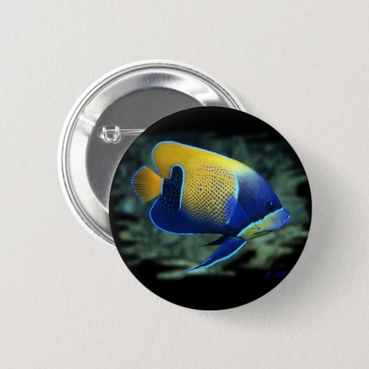Majestätische Engels-Fische Button (Vorne & Hinten)
